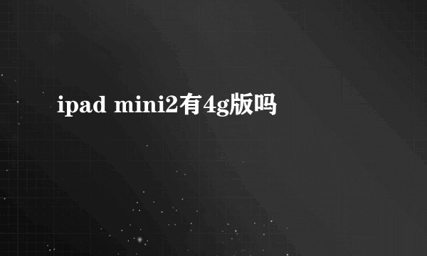 ipad mini2有4g版吗
