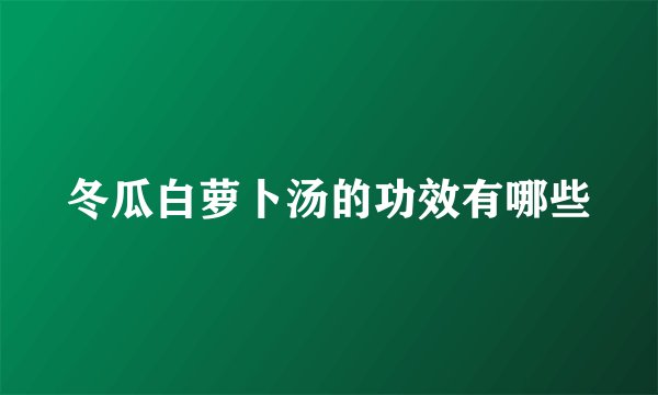 冬瓜白萝卜汤的功效有哪些