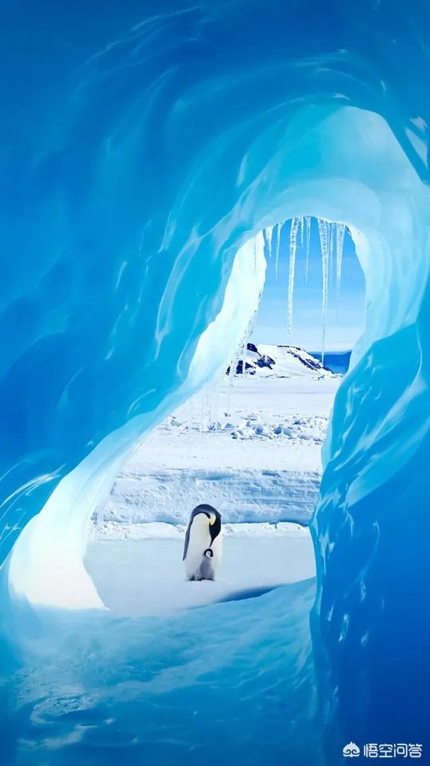 救援机构起诉温州“失联”男孩母亲，并索赔1元，对此你怎么看？