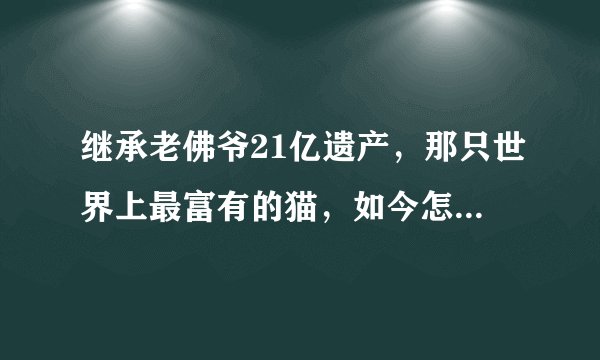 继承老佛爷21亿遗产，那只世界上最富有的猫，如今怎样了呢 ？