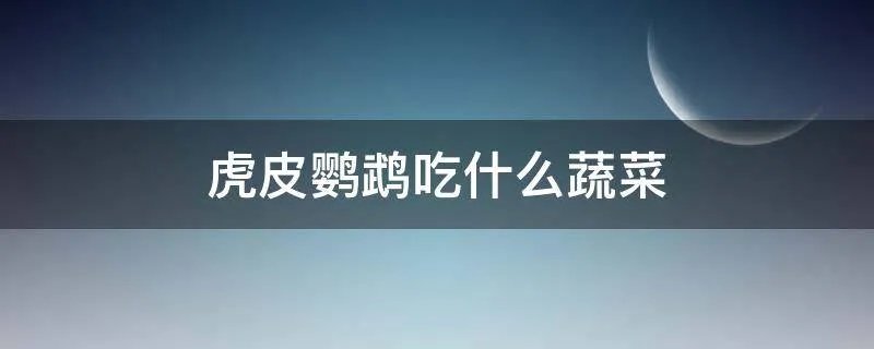 虎皮鹦鹉吃什么蔬菜