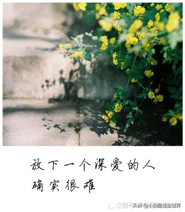 友情和爱情哪个更重要？