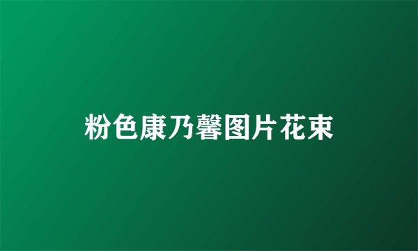 粉色康乃馨图片花束
