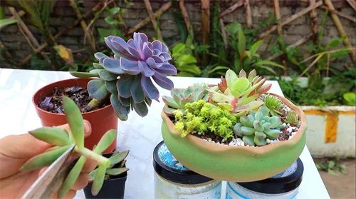 住在马路边隔音补救方法有哪些