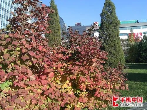 娱乐新旗舰 HTC HD7多媒体拍照专项评测