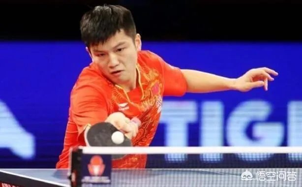 樊振东卡塔尔公开赛为林高远复仇，夺冠后首登世界第一，你如何看？