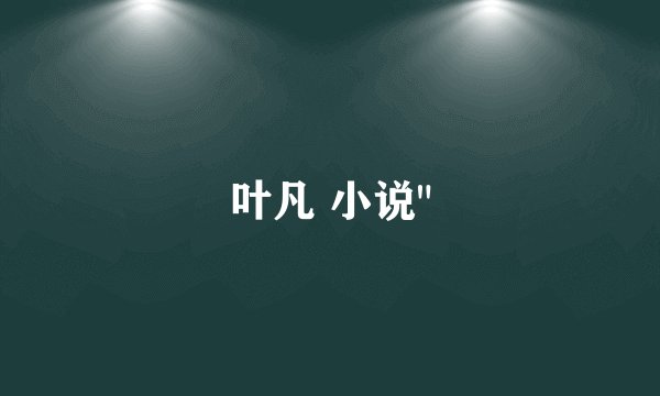 叶凡 小说