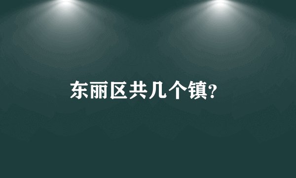 东丽区共几个镇？