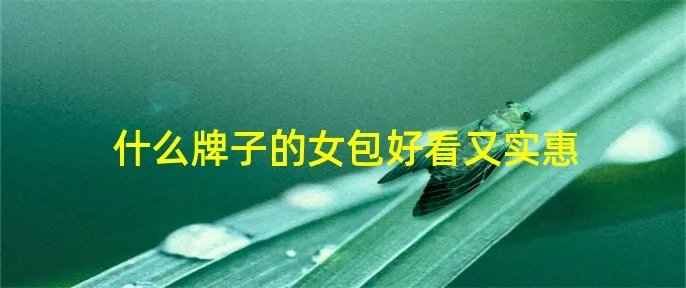 什么牌子的女包好看又实惠