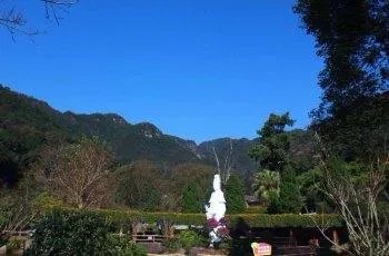 美丽的梅州县城大埔有哪些值得一看的旅游景点？