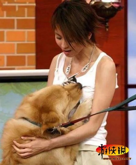 女主播遭狒狒袭胸 那些喜欢调戏美女的动物们