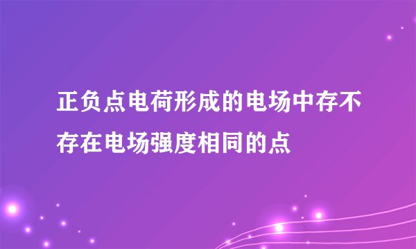 正负点电荷形成的电场中存不存在电场强度相同的点