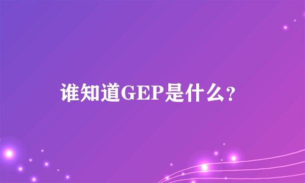 谁知道GEP是什么？