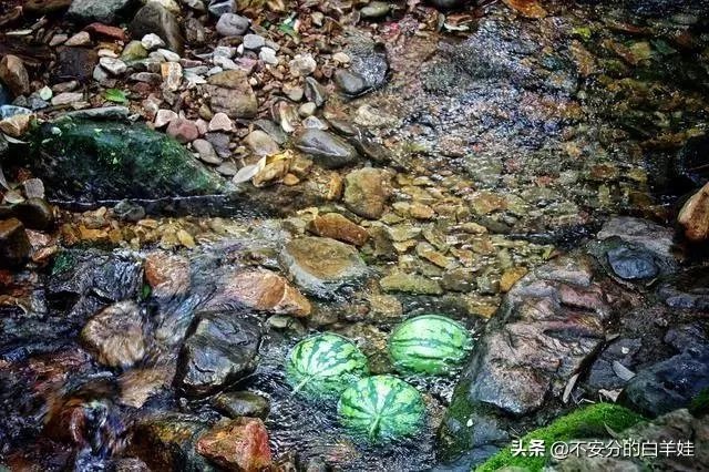 保定一日游最佳景点