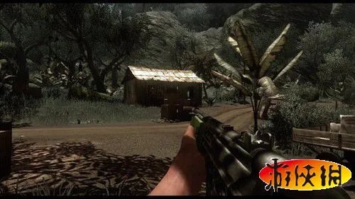 《孤岛惊魂2》图文流程攻略