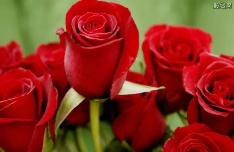 相亲网站有哪些 相亲网站的服务都要收费的吗