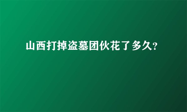 山西打掉盗墓团伙花了多久？