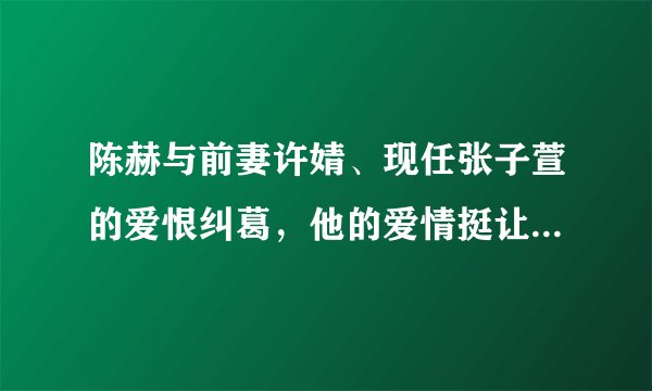 陈赫与前妻许婧、现任张子萱的爱恨纠葛，他的爱情挺让人看不懂的
