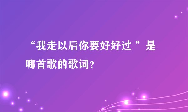 “我走以后你要好好过 ”是哪首歌的歌词？