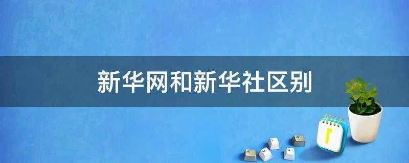 新华网和新华社区别
