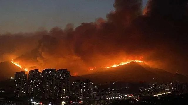 青岛开发区小珠山森林大火，你想和孩子怎么聊聊火灾？