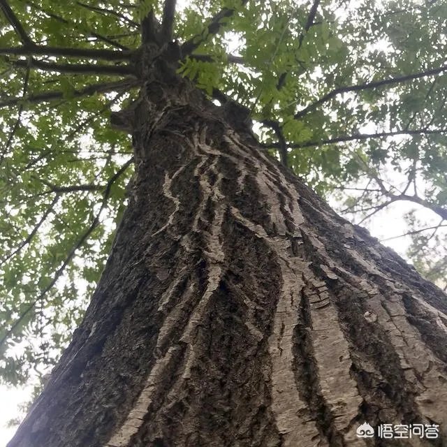 在南京的90后都从事什么行业?过得怎么样?