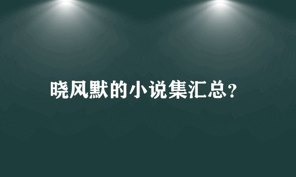 晓风默的小说集汇总？