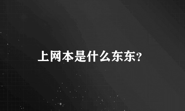 上网本是什么东东？