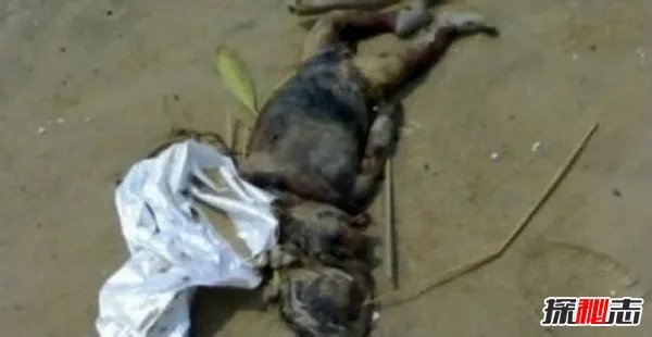 揭阳水库抓到了恐怖水鬼是真的吗 在水下力大无穷(谣言)