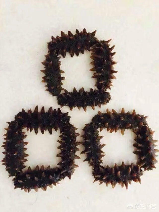 创业坚持做自己的品牌,还是去加盟一个同行的大品牌更合适?