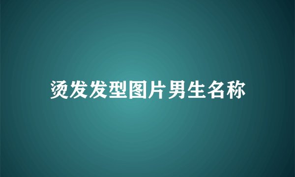 烫发发型图片男生名称