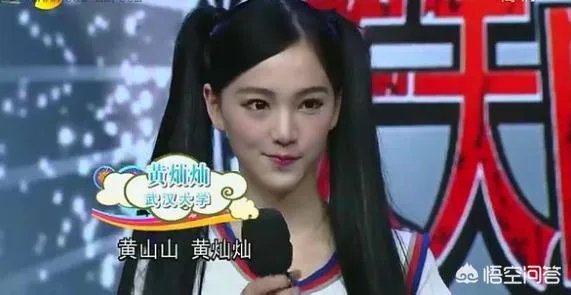 为什么现在网红都开始参加综艺了？