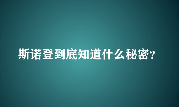 斯诺登到底知道什么秘密？