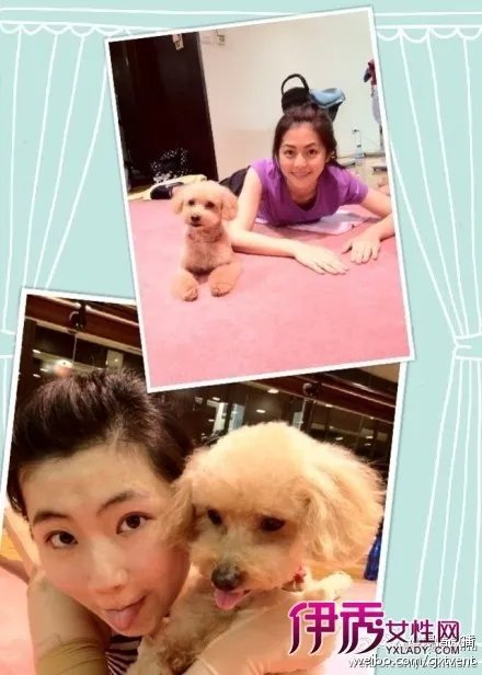 孙燕美媲美孙燕姿