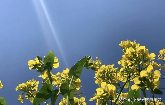 保定一日游最佳景点