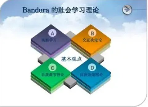 社会学习理论的主要观点