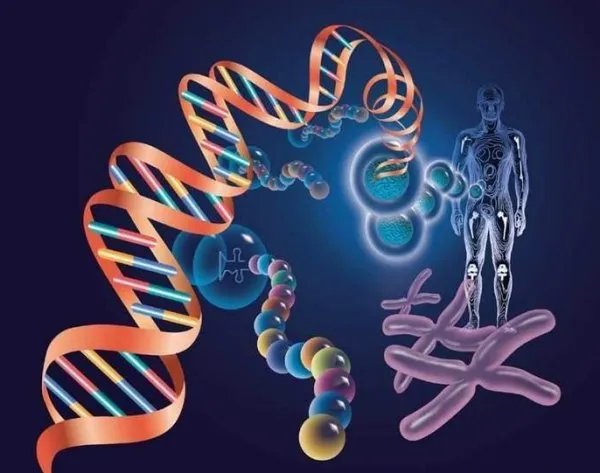 市面上儿童天赋基因检测这个是骗人的吗？