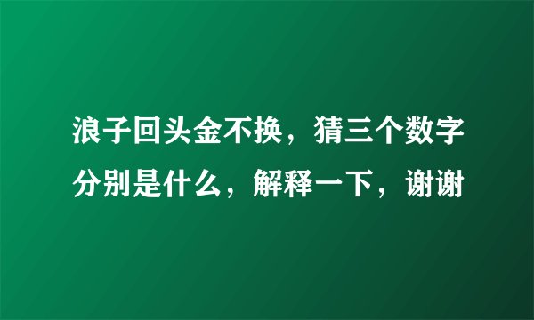 浪子回头金不换，猜三个数字分别是什么，解释一下，谢谢