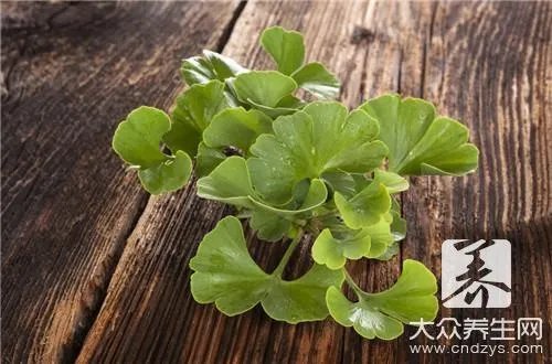 银杏果的功效与作用有哪些