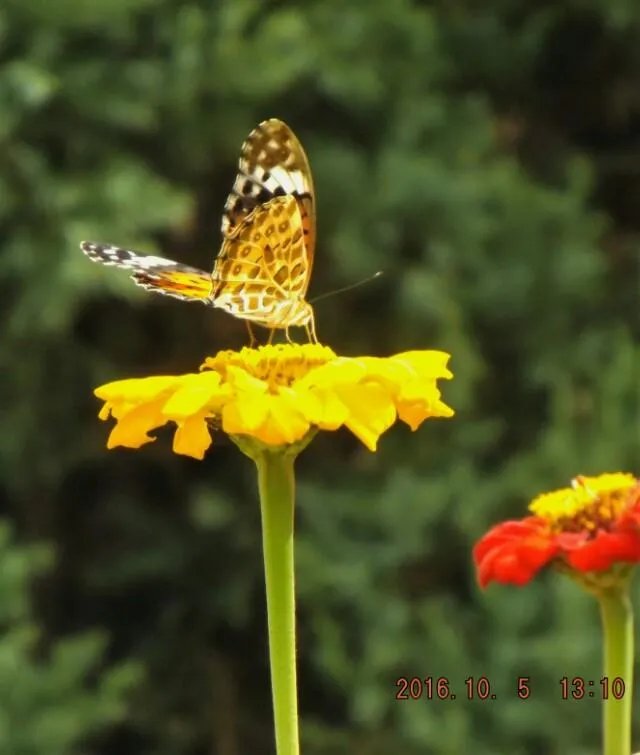 2016 年,你拍过最棒的图片是哪一张?