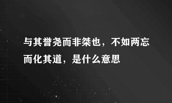 与其誉尧而非桀也，不如两忘而化其道，是什么意思