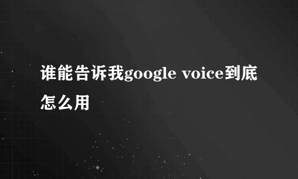 谁能告诉我google voice到底怎么用