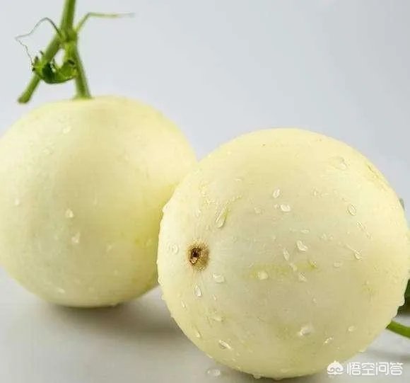 大樱桃市场零售价最贵卖到近二十元一斤，为何不发展大樱桃种植呢？