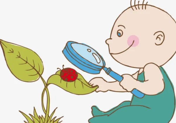 观察不只是用眼睛看，还可以用什么（ ）（ ）及（ ）等，可以用比较的方法观察如观察比较，（ ）（