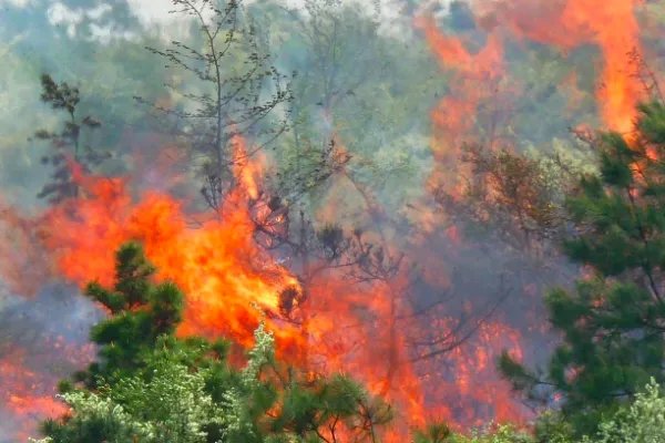 美国俄勒冈洲城镇为何被染红？