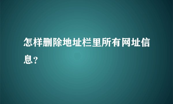 怎样删除地址栏里所有网址信息？