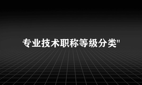 专业技术职称等级分类