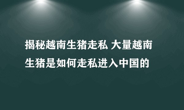 揭秘越南生猪走私 大量越南生猪是如何走私进入中国的