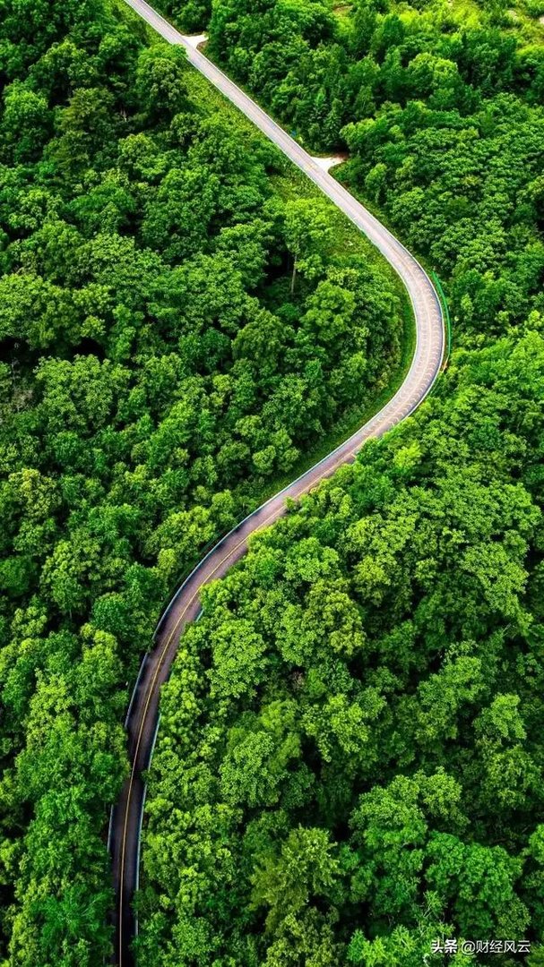 熊猫互娱投资人否认已获王思聪赔偿：未收到一分钱，这事你怎么看？