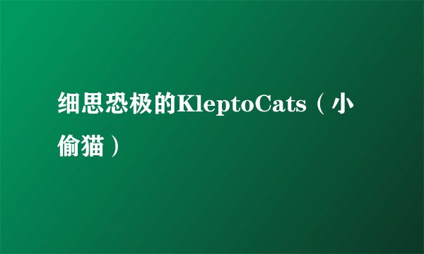 细思恐极的KleptoCats（小偷猫）